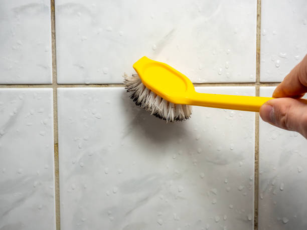 Best Preventive Mold Services in Mattoon, IL