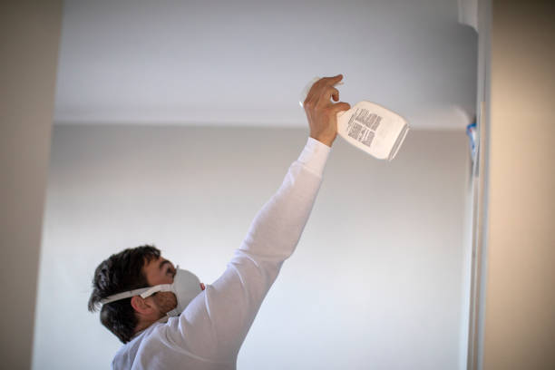 Best Post-Flood Mold Remediation in Mattoon, IL